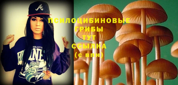 ECSTASY Магадан
