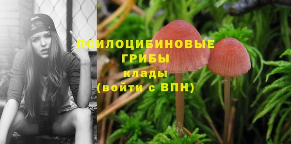 каннабис Майский
